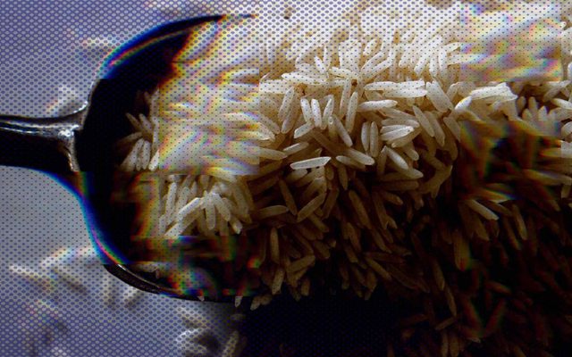 Rice Photo