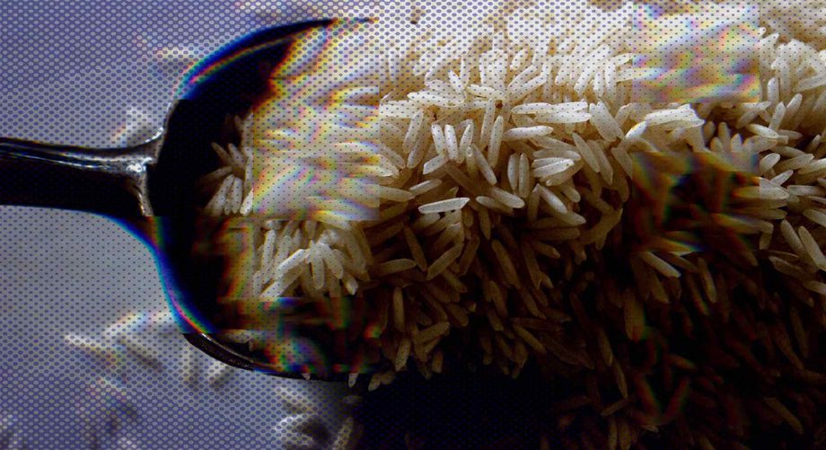 Rice Photo