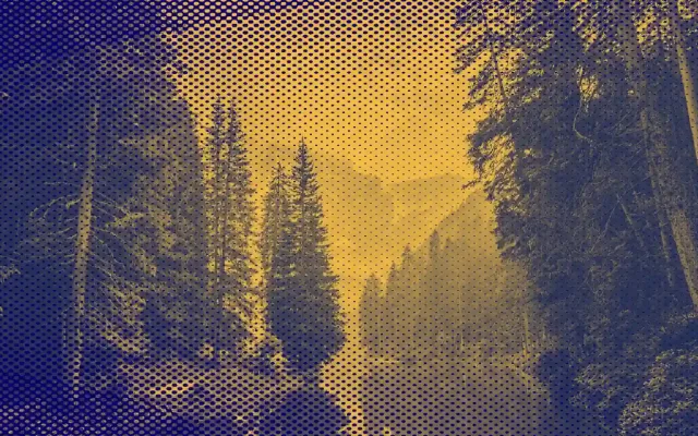 Warm dark cinematic scene of a person sitting at a typewriter